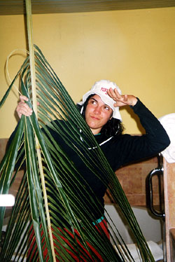 caribe yopalmera.JPG